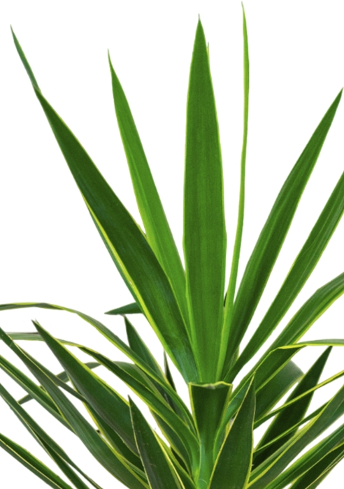 Юкка Пак в CUBE 30