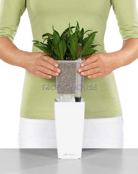 Кашпо LECHUZA MINI-CUBI 9х18 см