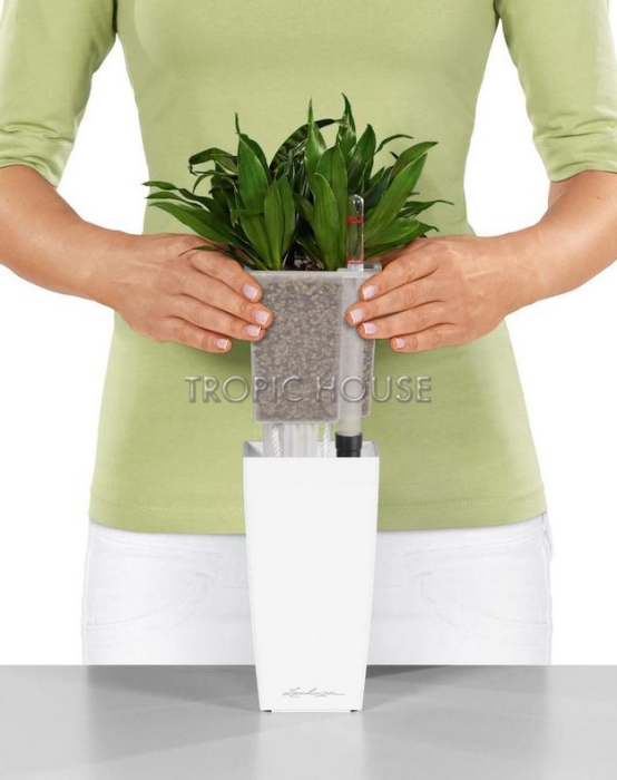 Кашпо LECHUZA MINI-CUBI 9х18 см