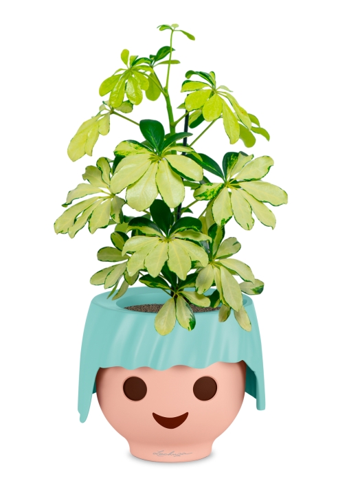 Шеффлера Мелани 12/40 в OJO, голубой