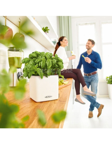 Кашпо LECHUZA CUBE Color 14х13.5 см