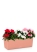 Азалия цветной микс в BALCONERA COLOR 50
