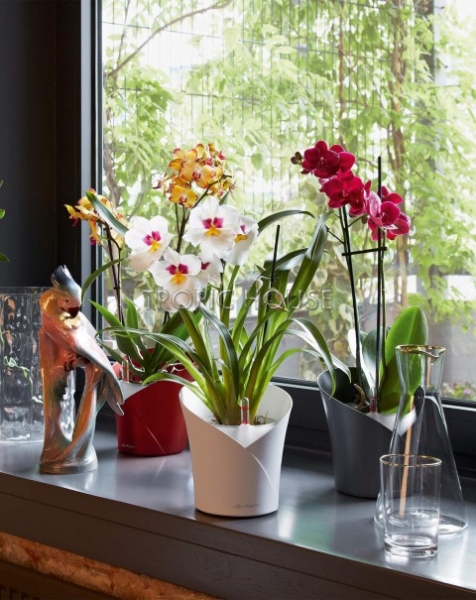 Кашпо LECHUZA ORCHIDEA 18х20 см