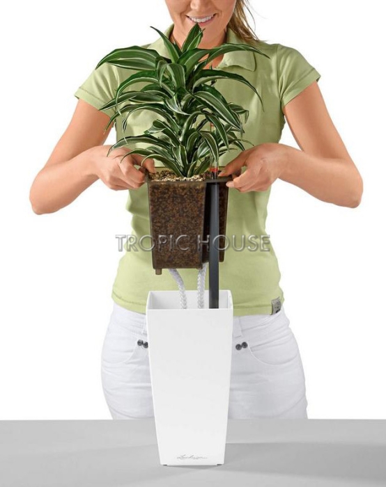 Кашпо LECHUZA MAXI-CUBI 14х26 см