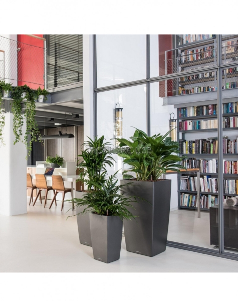 Кашпо LECHUZA CUBICO Color 22х41 см