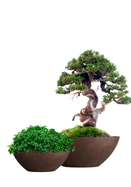 Кашпо CONCRETIKA BONSAY COFFEE