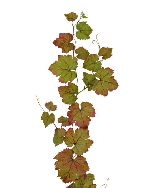 Виноградная гирлянда зелёно-бордовый микс