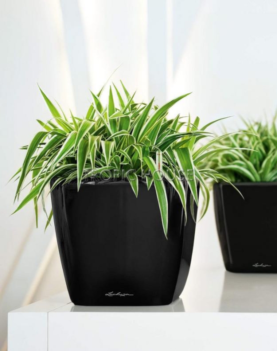 Кашпо LECHUZA QUADRO LS 21х20 см