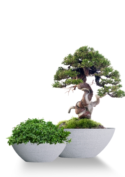 Кашпо CONCRETIKA BONSAY EROSIA WHITE