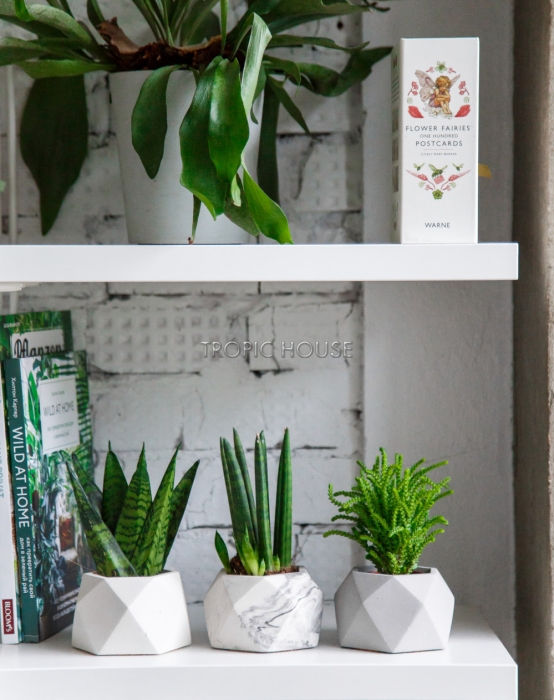 Кашпо бетонное настольное ТН 07