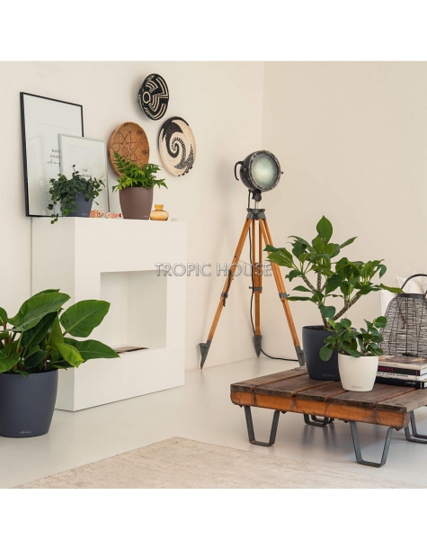 Кашпо LECHUZA CLASSICO Color 35х30 см