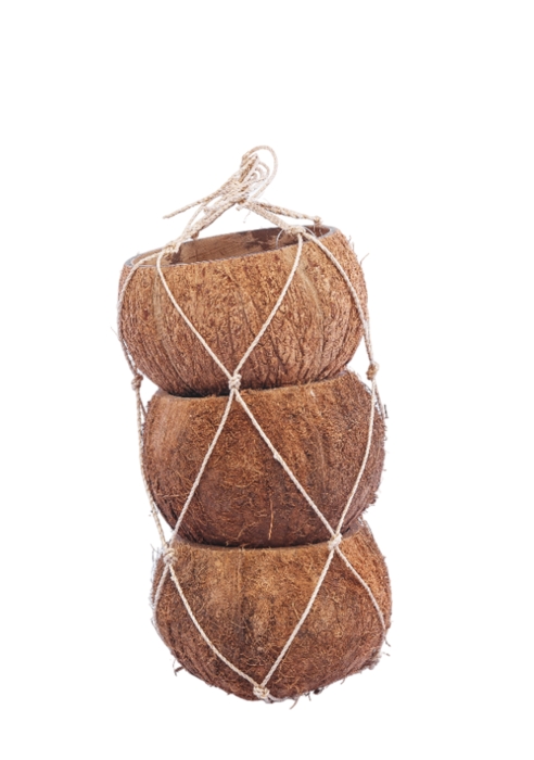 Набор из 3х кашпо "Кокос"