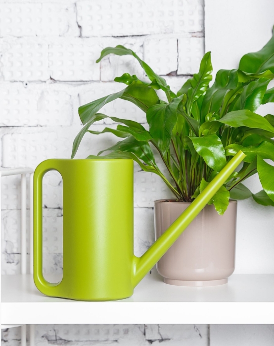 Лейка для комнатных цветов Plastia (зеленый)
