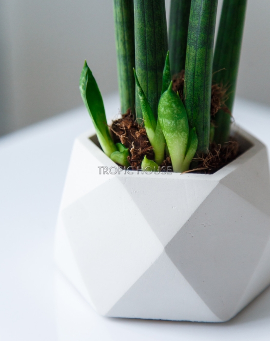 Кашпо бетонное настольное ТН 07