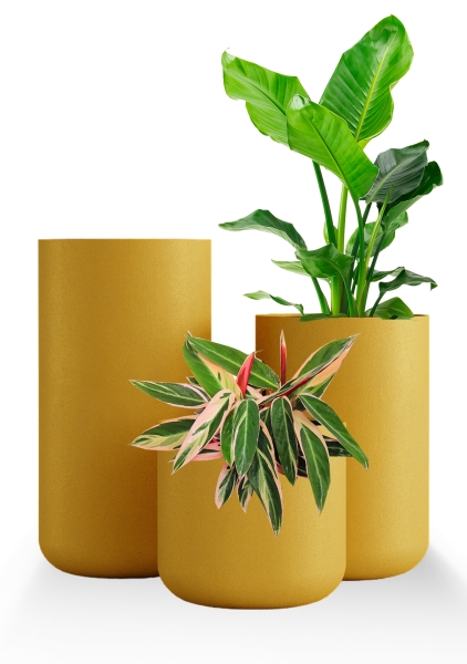 Кашпо CONCRETIKA TOPPER GOLD