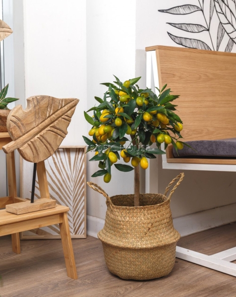 Корзина средняя крафт