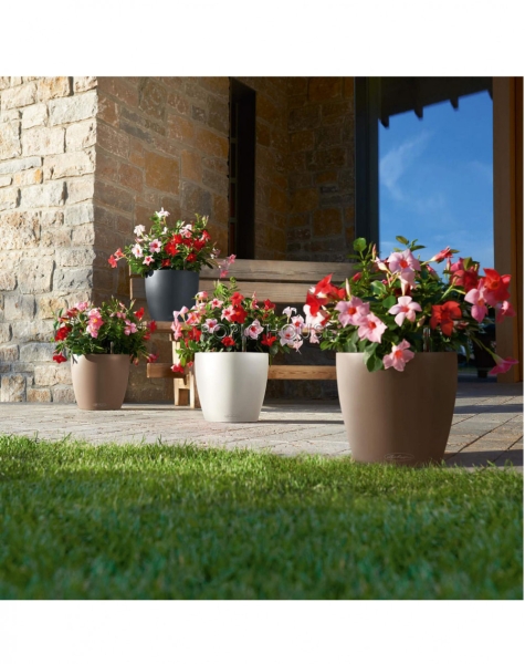 Кашпо LECHUZA CLASSICO Color 28х26 см