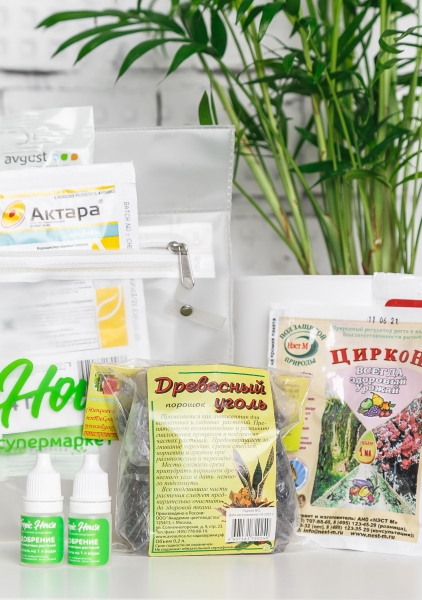 Зеленая аптечка Tropic House