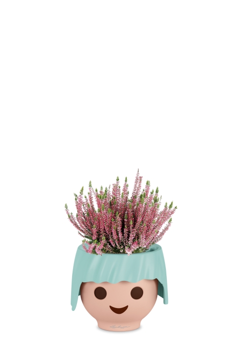 Вереск (Эрика) розовый в OJO