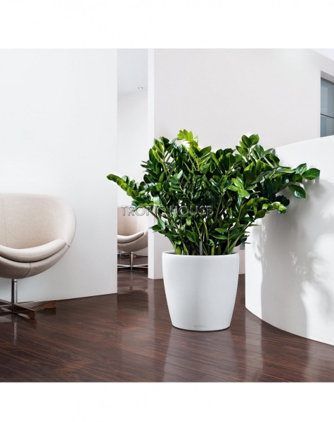 Кашпо LECHUZA CLASSICO Color 43х40 см