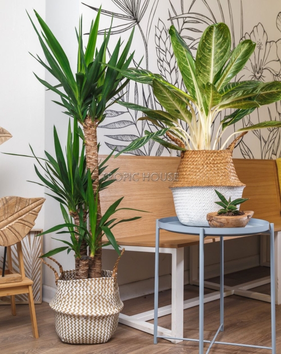 Корзина большая белый зигзаг