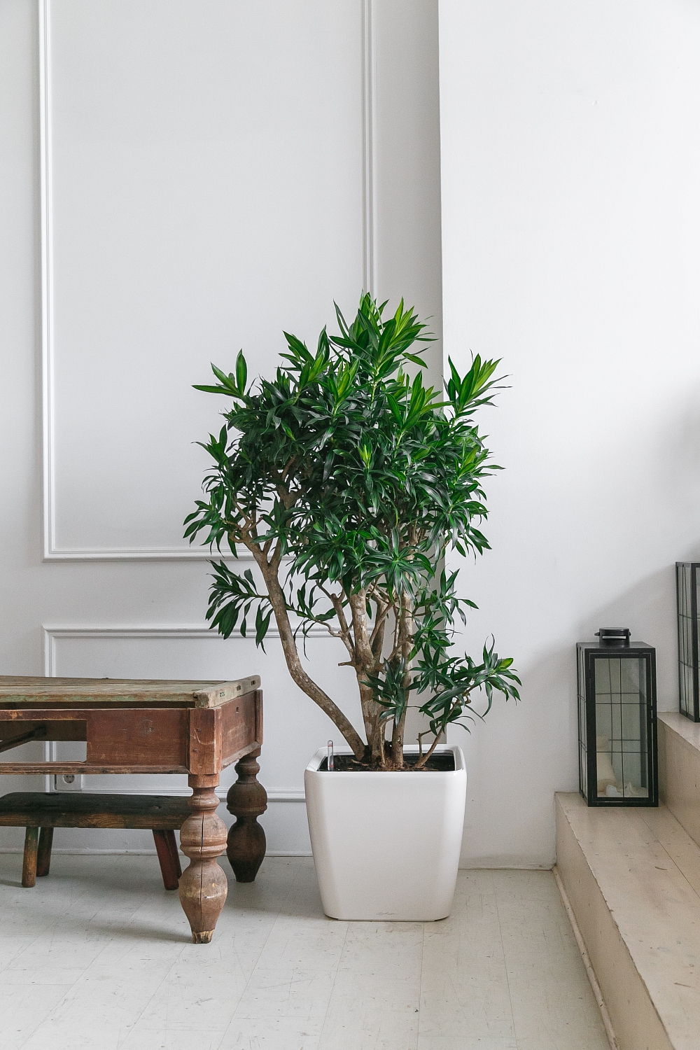 СОЗДАНИЕ ПРОЕКТА ФИТОДИЗАЙНА