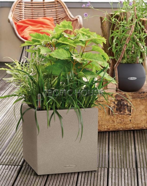 Кашпо LECHUZA CANTO Stone low 30х30 см