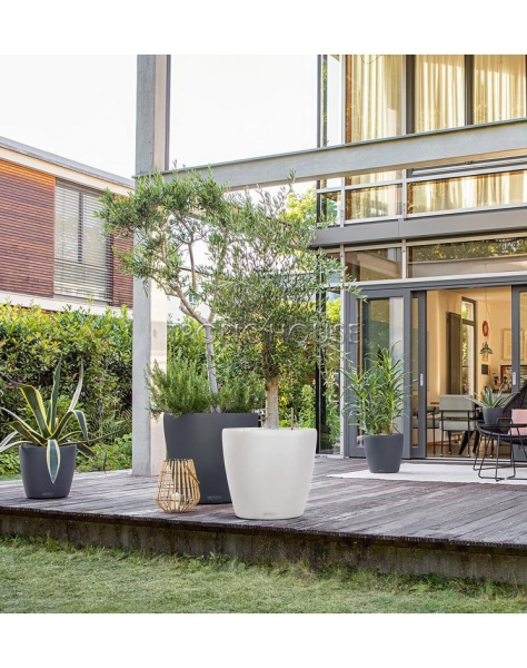 Кашпо LECHUZA CLASSICO Color 70x65 см