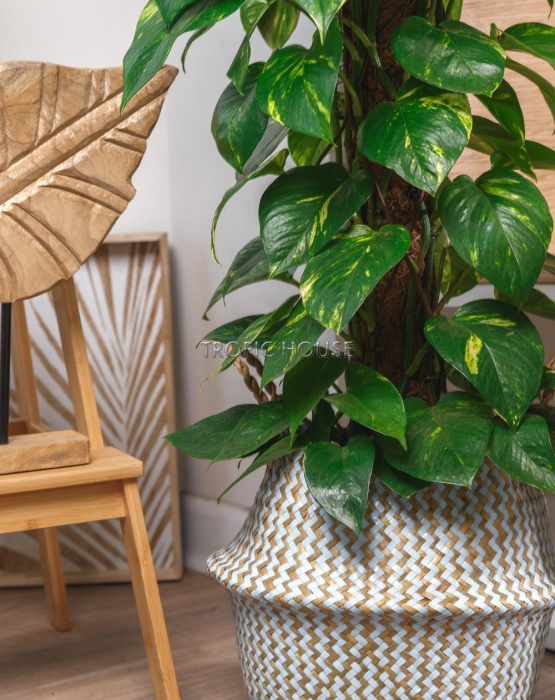 Корзина большая голубой зигзаг