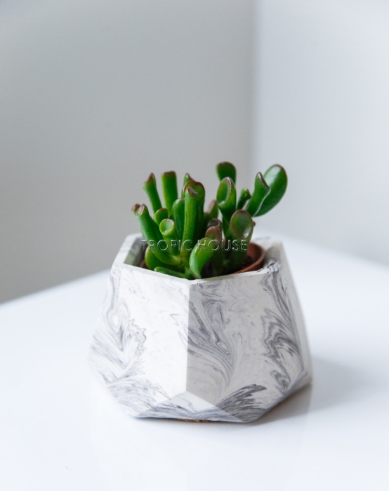 Кашпо бетонное настольное ТН 06