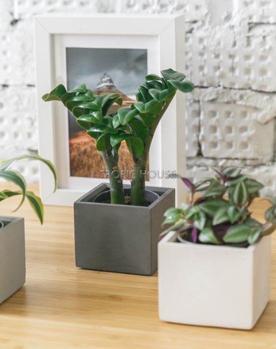 Кашпо бетонное настольное ТН 21