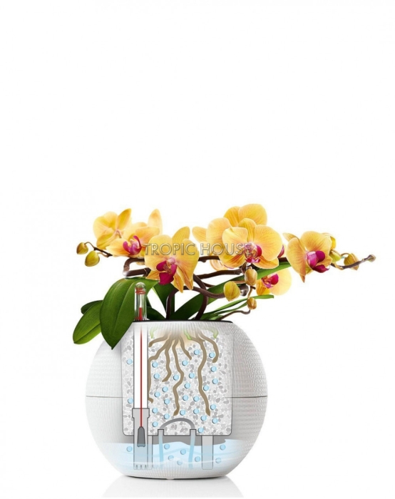 Кашпо LECHUZA PURO Color 20х16 см