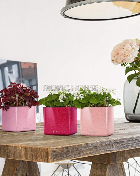 Кашпо LECHUZA CUBE Glossy Kiss 14х13.5 см