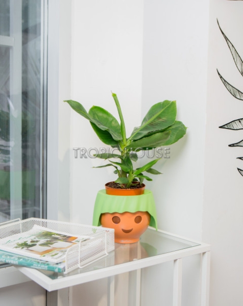 Банан в OJO 40 см