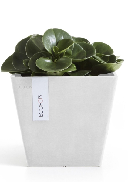 Ecopots Rotterdam 20