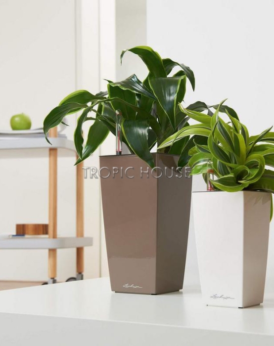 Кашпо LECHUZA MINI-CUBI 9х18 см