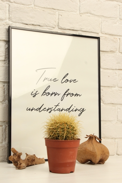 Кактус микс 12 см в CUBE Color 14