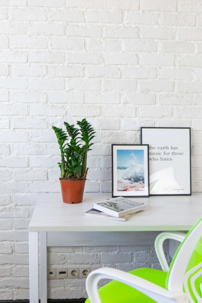 Замиокулькас Зензи 14/50 см в LAMELA Juka 19x19