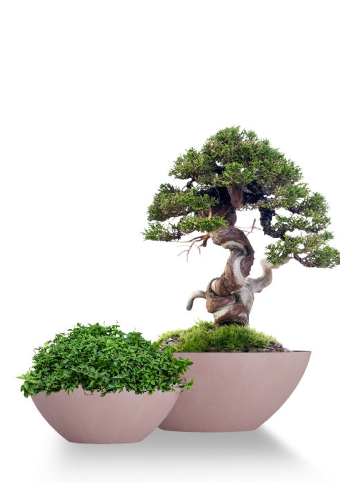 Кашпо CONCRETIKA BONSAY COCOA