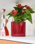 Кашпо LECHUZA CUBE Glossy 14х13.5 см