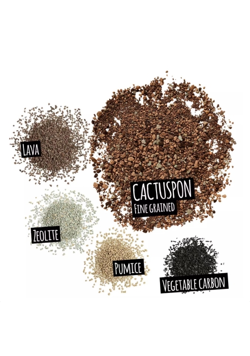 Субстрат Lechuza CACTUSPON