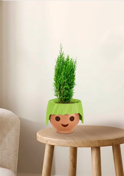 Кипарисовик микс 9 см в OJO