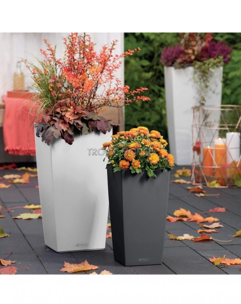 Кашпо LECHUZA CUBICO Color 30х56 см