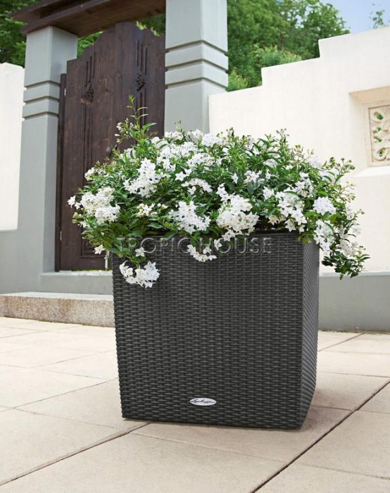 Кашпо LECHUZA CUBE Cottage 50х50 см