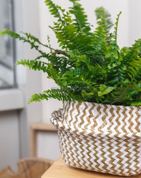 Корзина малая белый зигзаг