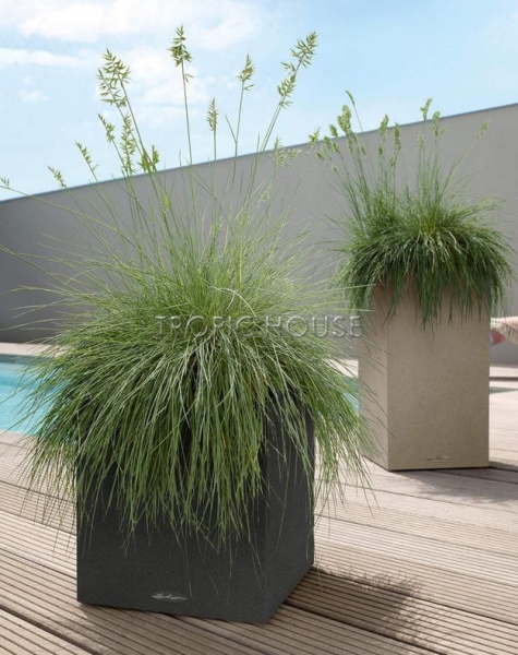 Кашпо LECHUZA CANTO Stone low 30х30 см