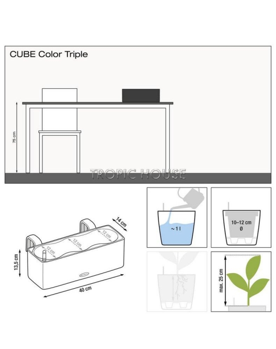 Каланхоэ в CUBE COLOR TRIPLE 14