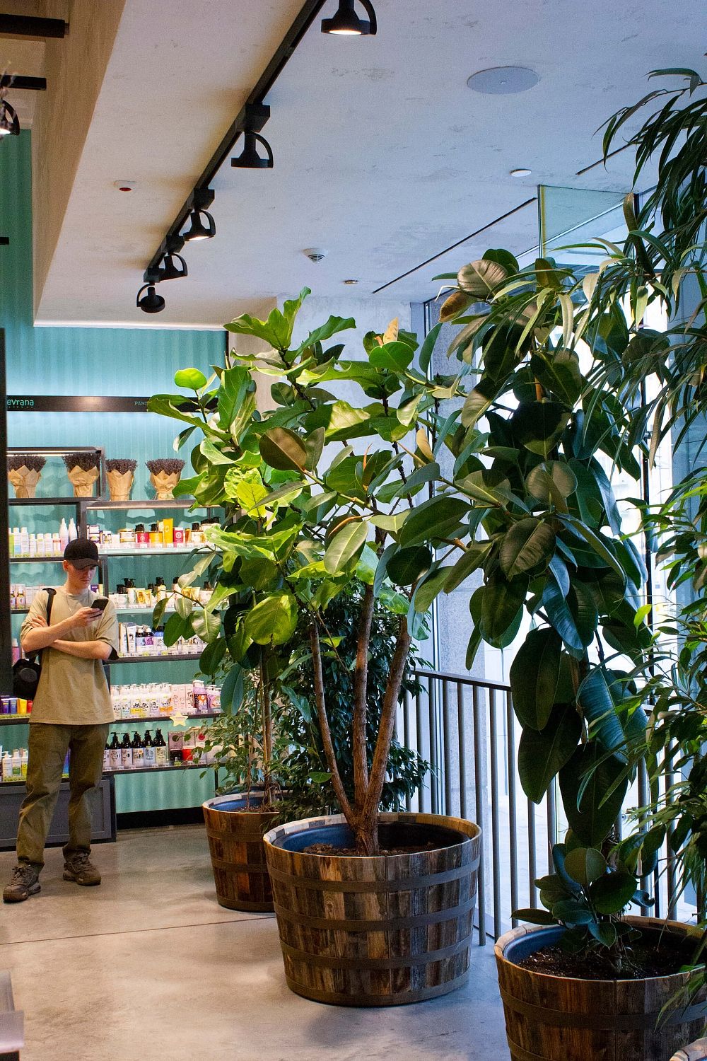 Золотое Яблоко