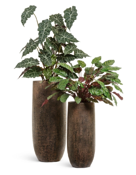 Кашпо TREEZ Effectory, Высокий округлый конус, Rough с золотой патиной