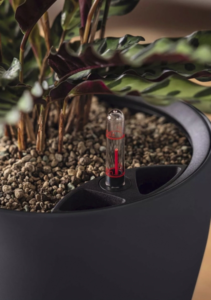 Кашпо LECHUZA CLASSICO Color LS 21х20 см